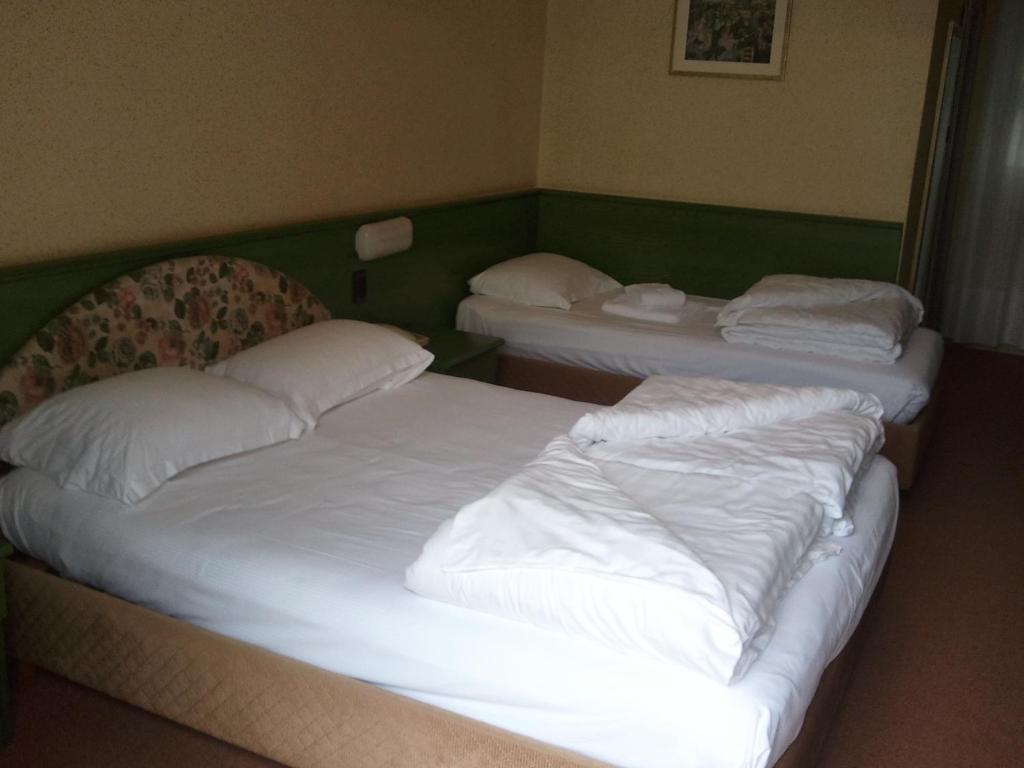 Hotel Caribe - Garda Lake Collection Бренцоне-суль-Гарда Номер фото
