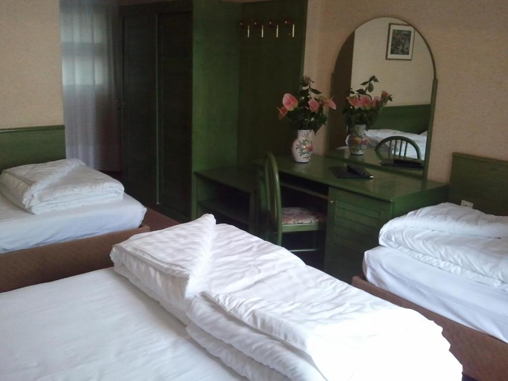 Hotel Caribe - Garda Lake Collection Бренцоне-суль-Гарда Номер фото